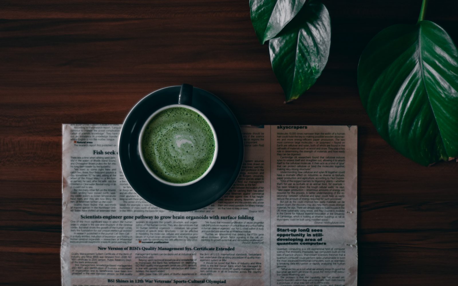 Koristi matche in kako jo pripraviti