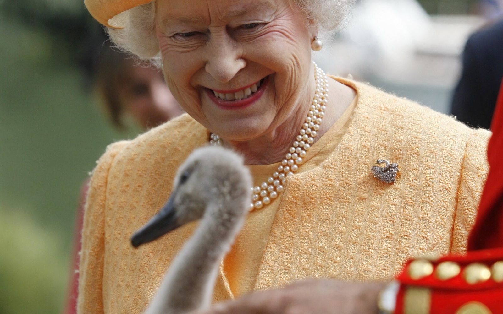 Od labodov do netopirjev – 13 osupljivih stvari, ki jih je imela v lasti kraljica Elizabeta