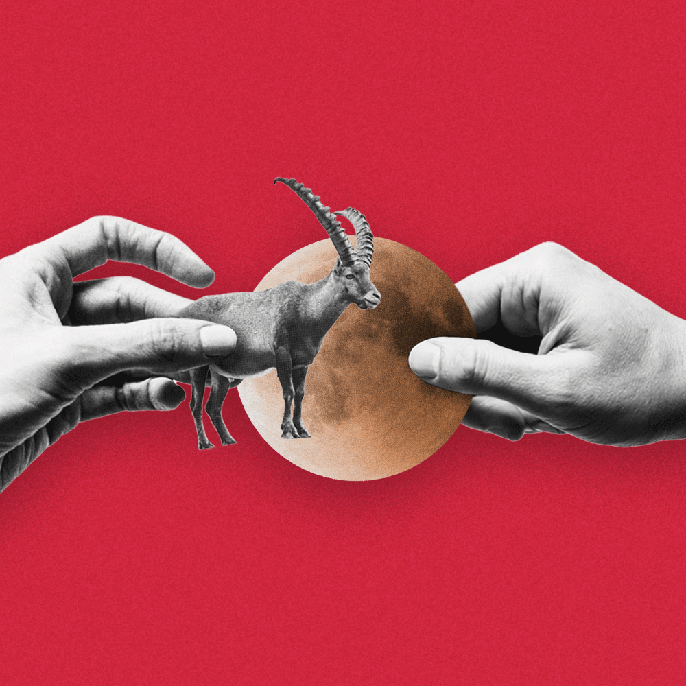 Dnevni horoskop za nedeljo, 30. julija 2023