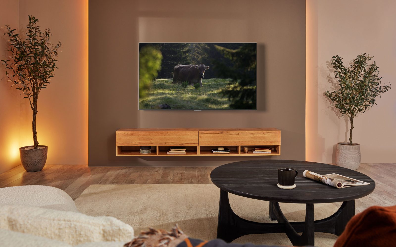 Gostje ne bodo želeli oditi domov, saj bodo obsedeli pred vašim televizorjem!