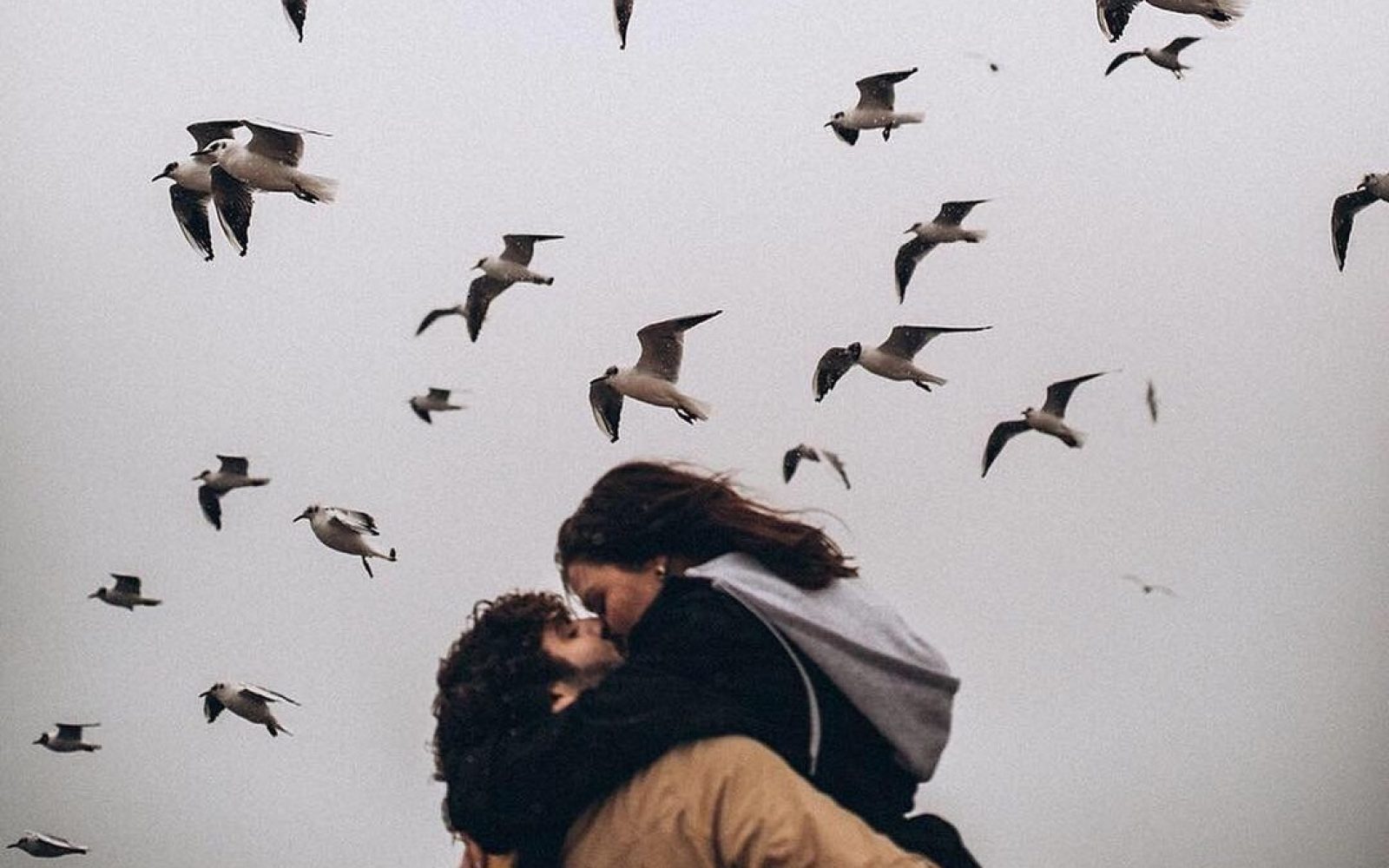 par, ki se poljulja, ptice v ozadju