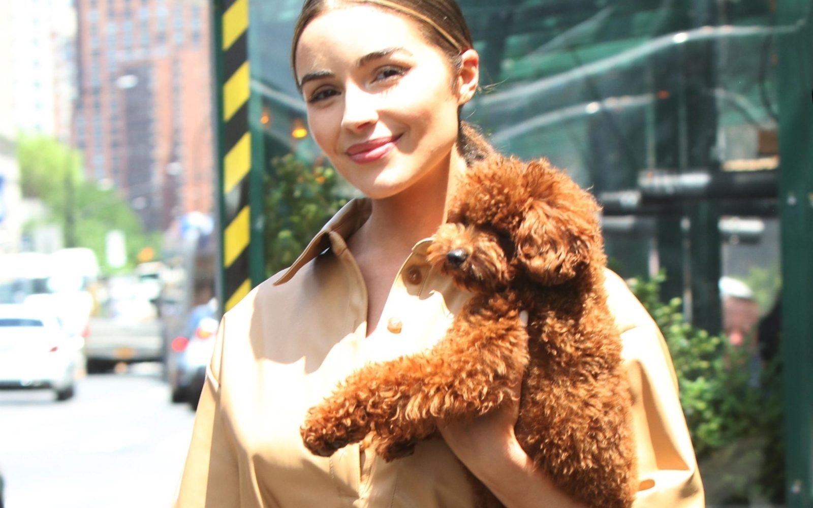 Poglejte, kako ljubke kosmatince imajo zvezdniki