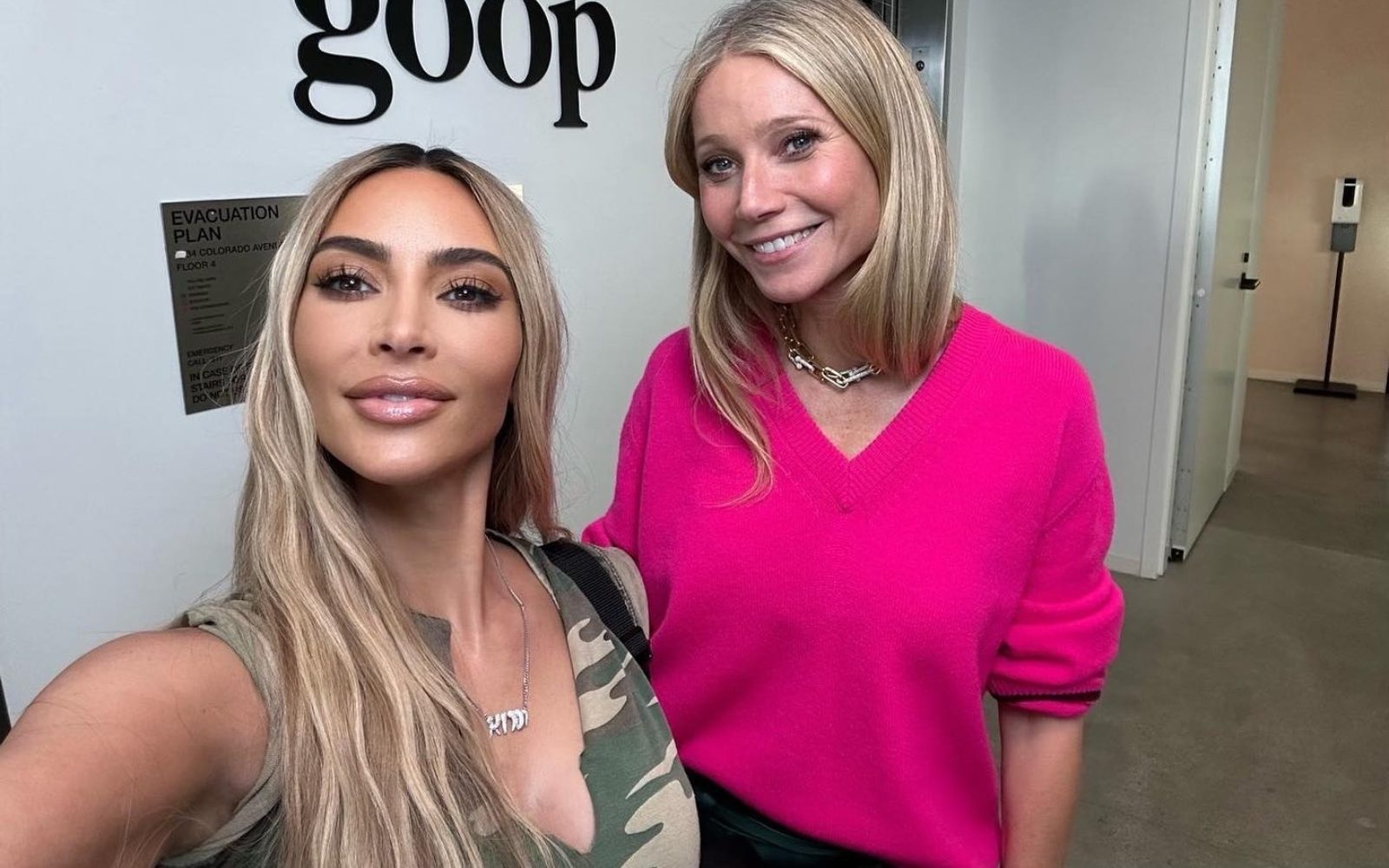 Zvezdnica namerava “popolnoma izginiti iz javnega življenja”